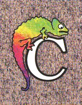 Chameleon logo